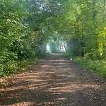 Vestergade B& B *